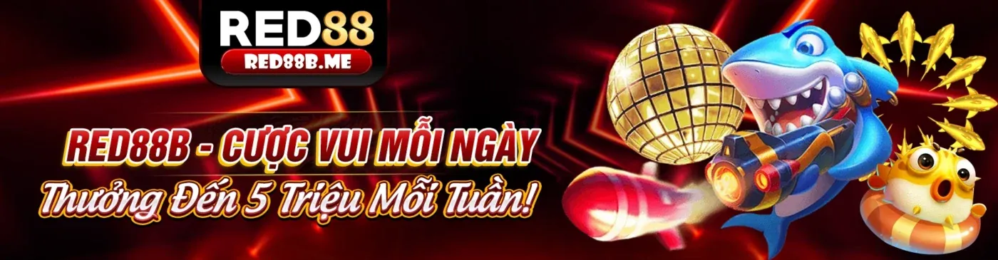 Chương Trình VIP hubet88 bet Đẳng Cấp 2026